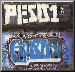 Peso1 Graffiti on Jericho Beach, Vancouver, Canada
